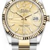 Rolex Datejust 36mm Stainless Steel And Yellow Gold 126233 Golden Palm Oyster -Omega Shop 126233 Champagne Palm Oyster