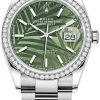Rolex Datejust 36mm Stainless Steel 126284rbr Olive Green Palm Oyster -Omega Shop 126284rbr Olive Green Palm Oyster