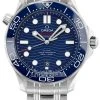 Omega Seamaster Diver 300m Co-Axial Master Chronometer 42mm 210.30.42.20.03.001