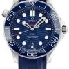 Omega Seamaster Diver 300m Co-Axial Master Chronometer 42mm 210.32.42.20.03.001