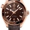 Omega Planet Ocean 600m Co-Axial Master Chronometer 39.5mm 215.63.40.20.13.001