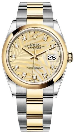 Rolex Datejust 36mm Stainless Steel And Yellow Gold 126203 Golden Palm Diamond Oyster