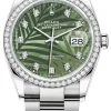 Rolex Datejust 36mm Stainless Steel 126284rbr Olive Green Palm Diamond Oyster